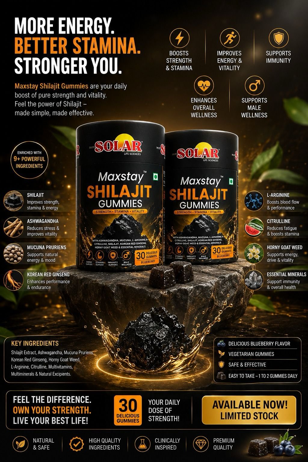 Maxstay Shilajit Gummies - Main