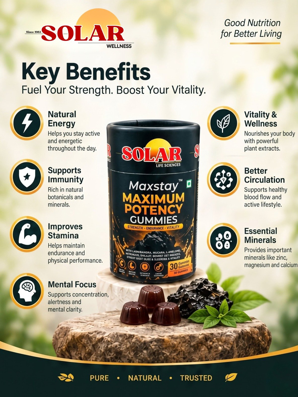 Maxstay Shilajit Gummies